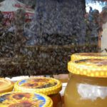 2016-07-30 Festyn na Marcelu